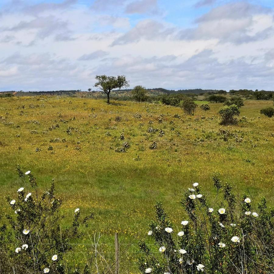 Refugio Do Bem Estar Hotel Cercal do Alentejo Eksteriør billede